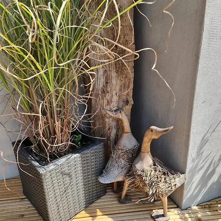 Ferienhaeuschen Auf Fehmarn